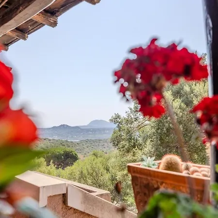 Апартаменти Charming Open Space In Costa Smeralda Ольбія